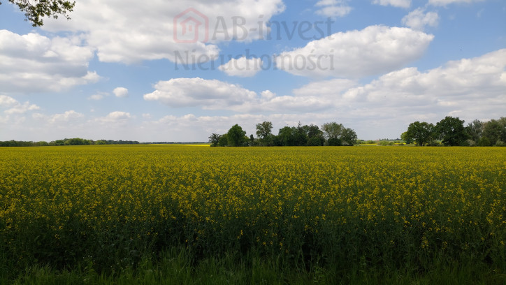 Działka Sprzedaż Mielno 2