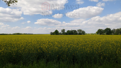 Działka Sprzedaż Mielno