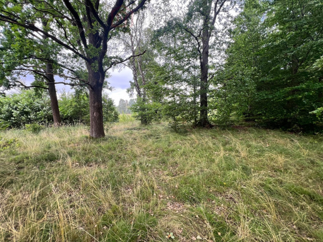 Działka Sprzedaż Storkowo 1