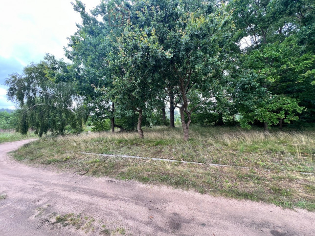 Działka Sprzedaż Storkowo 3