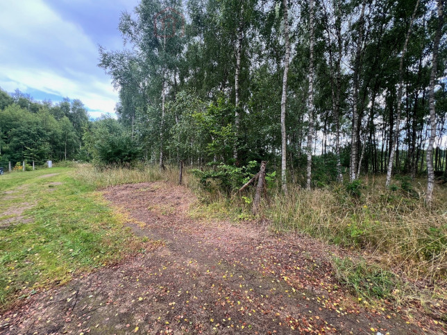Działka Sprzedaż Storkowo 2