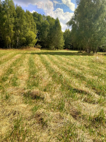 Działka Sprzedaż Grzepnica 1