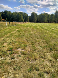 Działka Sprzedaż Grzepnica