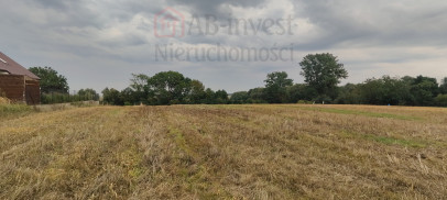Działka Sprzedaż Barnisław