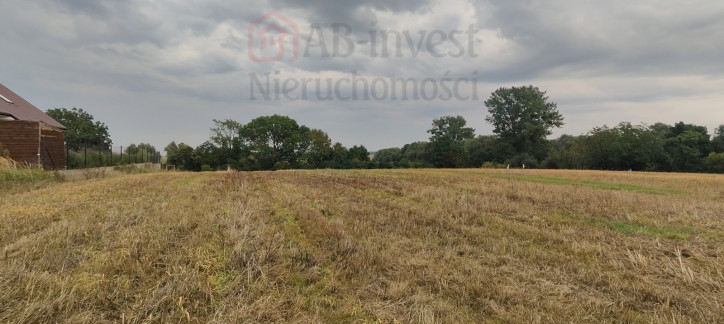 Działka Sprzedaż Barnisław 1