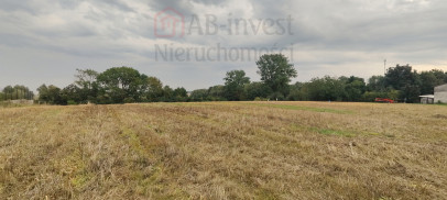 Działka Sprzedaż Barnisław