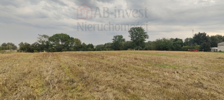 Działka Sprzedaż Barnisław 3