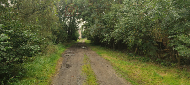 Działka Sprzedaż Barnisław 6