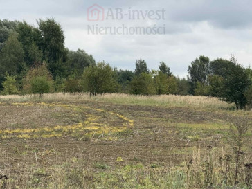 Działka Sprzedaż Stara Dąbrowa