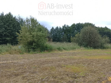 Działka Sprzedaż Stara Dąbrowa
