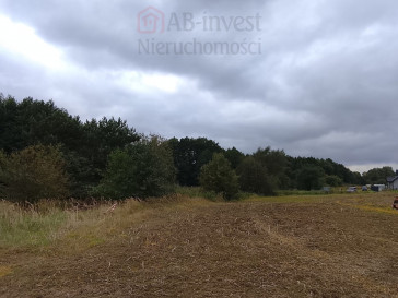 Działka Sprzedaż Stara Dąbrowa