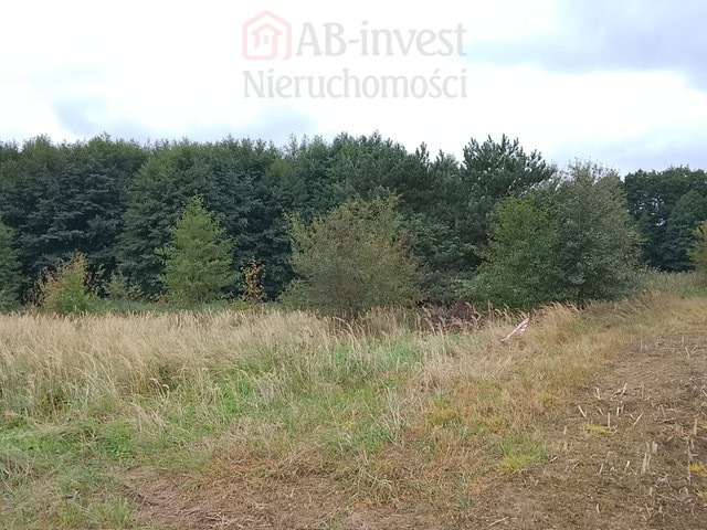 Działka Sprzedaż Stara Dąbrowa 19