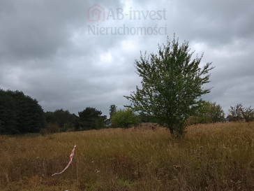 Działka Sprzedaż Stara Dąbrowa