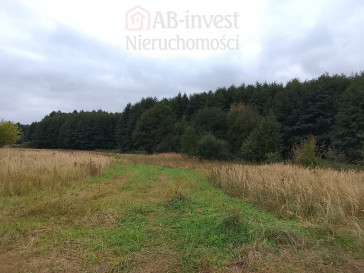 Działka Sprzedaż Stara Dąbrowa