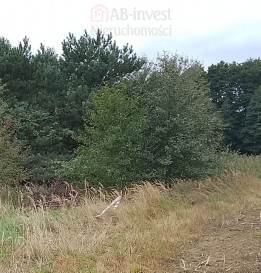 Działka Sprzedaż Stara Dąbrowa