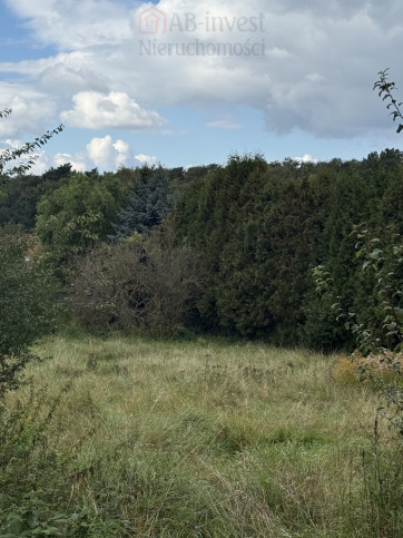 Działka Sprzedaż Szczecin Pilchowo 1