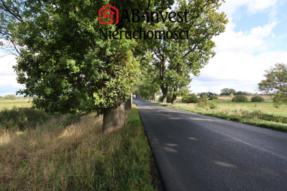 Działka Sprzedaż Dębice