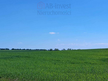 Działka Sprzedaż Grabowo