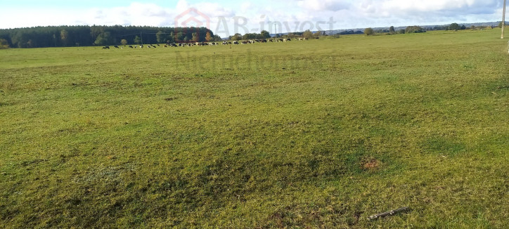 Działka Sprzedaż Borzysławiec 3