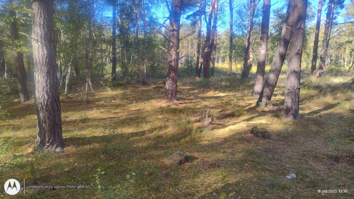 Działka Sprzedaż Dziwnów 2