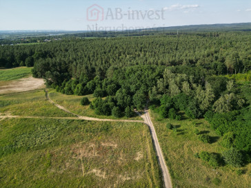 Działka Sprzedaż Daleszewo