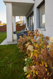 Mieszkanie Sprzedaż Szczecin Osów Gwiazdy Polarnej
