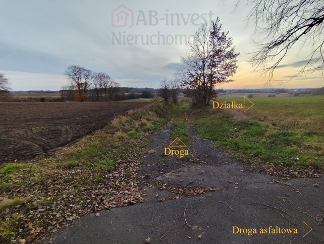 Działka Sprzedaż Wojcieszyn 8