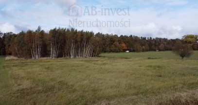Działka Sprzedaż Chrząstowo