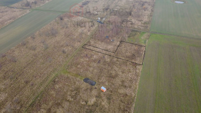 Działka Sprzedaż Wąwelnica