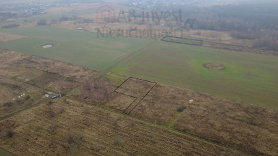 Działka Sprzedaż Wąwelnica
