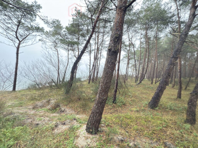 Mieszkanie Sprzedaż Międzywodzie Westerplatte 17