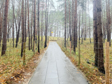Mieszkanie Sprzedaż Międzywodzie Westerplatte