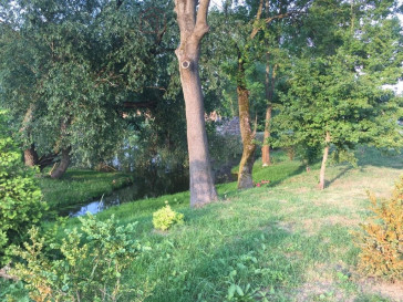 Mieszkanie Wynajem Skarbimierzyce