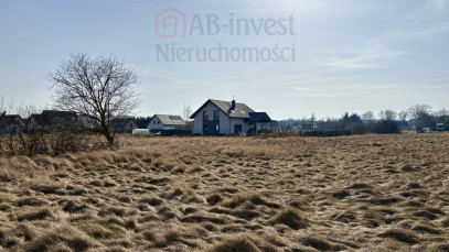 Działka Sprzedaż Niedźwiedź