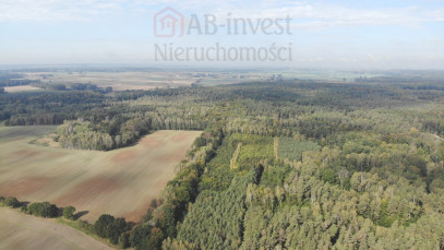 Działka Sprzedaż Rów