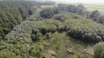 Działka Sprzedaż Rów