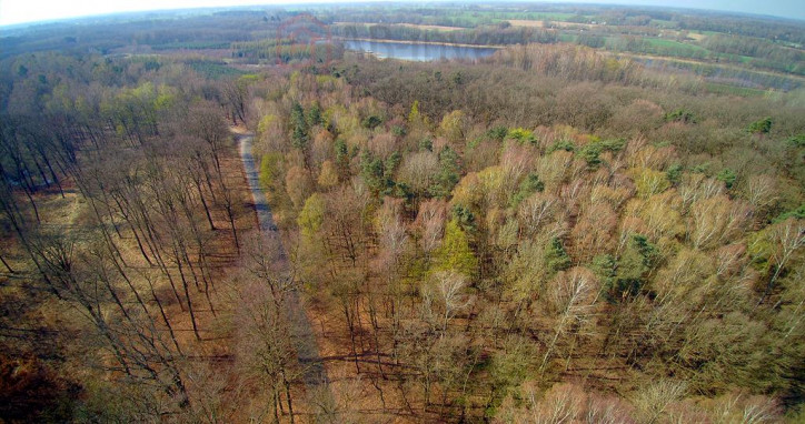 Działka Sprzedaż Dobra 12
