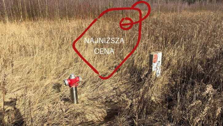 Działka Sprzedaż Żółwia Błoć 1