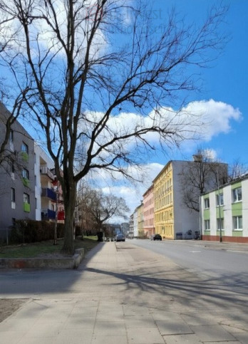 Lokal Wynajem Szczecin Śródmieście Jana Kazimierza 9