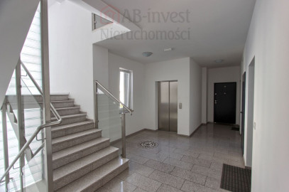 Mieszkanie Wynajem Szczecin Nowe Miasto Potulicka