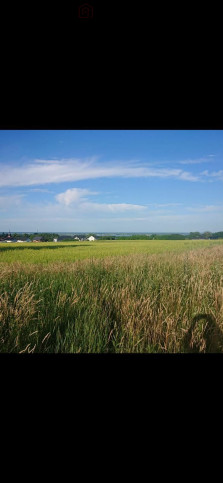 Działka Sprzedaż Szczecin Skolwin Inwalidzka 1