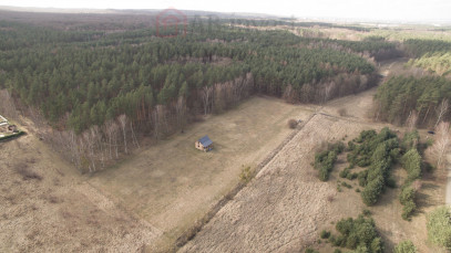 Działka Sprzedaż Szczecin Płonia