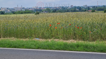 Działka Sprzedaż Stargard
