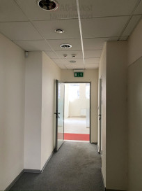 Lokal Wynajem Szczecin Centrum