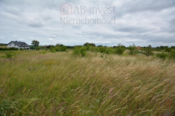 Działka Sprzedaż Wąwelnica 2