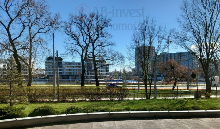 Lokal Wynajem Szczecin Śródmieście 3