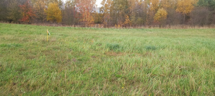 Działka Sprzedaż Steklno 2