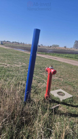Działka Sprzedaż Lubczyna 6
