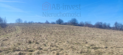 Działka Sprzedaż Linówko