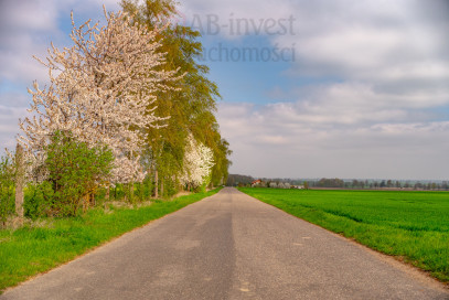 Działka Sprzedaż Pyrzyce